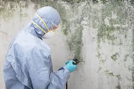 Best Commercial Mold Inspection in Guyton, GA